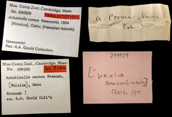Media type: image;   Malacology 294929 Aspect: labels